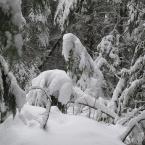    <br>Winter Holidays in Kootenay
